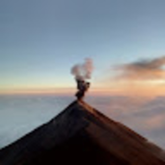 taylornepon